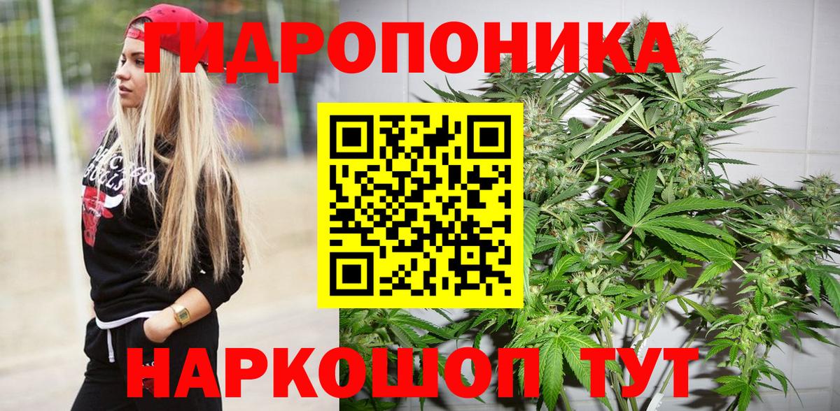 Шишки марихуана Amnesia Карпинск